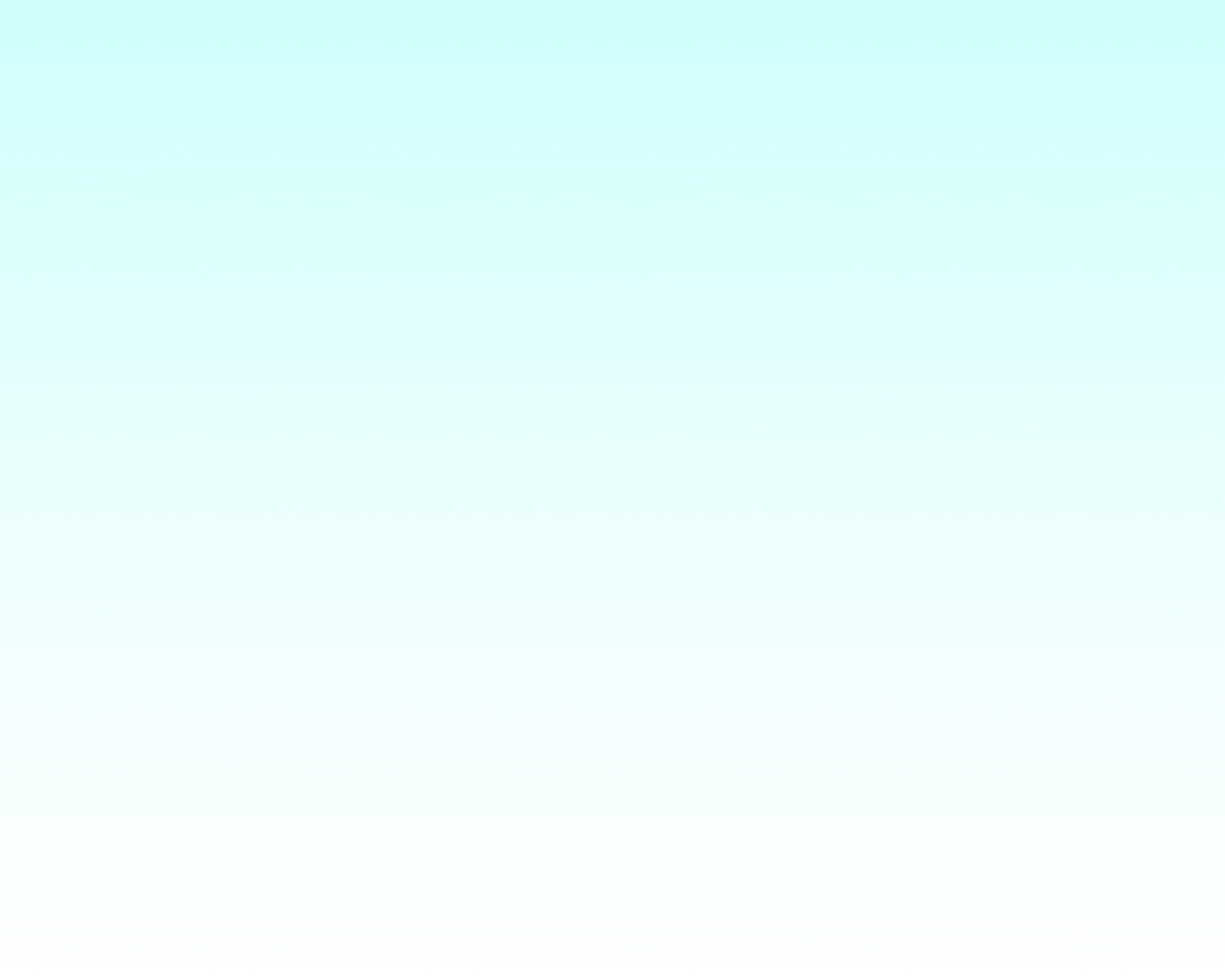 rectangle shape